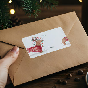 Étiquette Dachshund Chien de Noël Chandail douillet avec lum