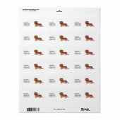 Étiquette Dachshund de dessin animé à poil long rouge sablé  (Feuille entière)