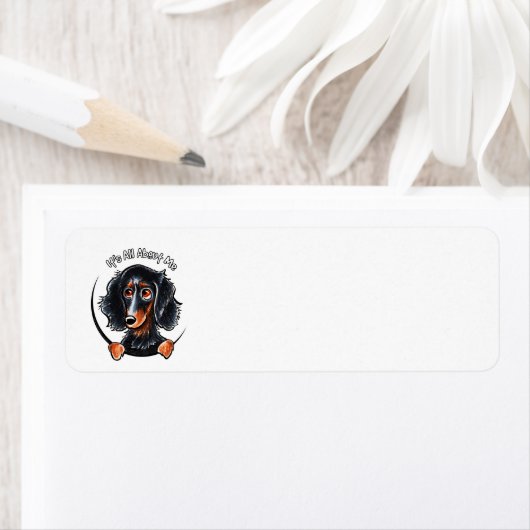 Étiquette Dachshund Longhé noir Tan IAAM (En situation)