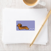 Étiquette Dachshund (lounghair) (En situation)