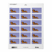 Étiquette Dachshund (lounghair) (Feuille entière)