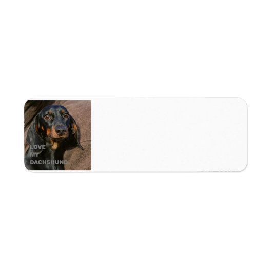 Étiquette dachshund noir et l'amour tan avec pic (Devant)