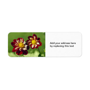 Étiquette d'adresse aux Dahlia Rouge