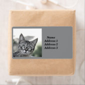 Étiquette d'adresse de chat mignon avec des lunett (En situation)