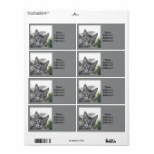 Étiquette d'adresse de chat mignon avec des lunett (Feuille entière)