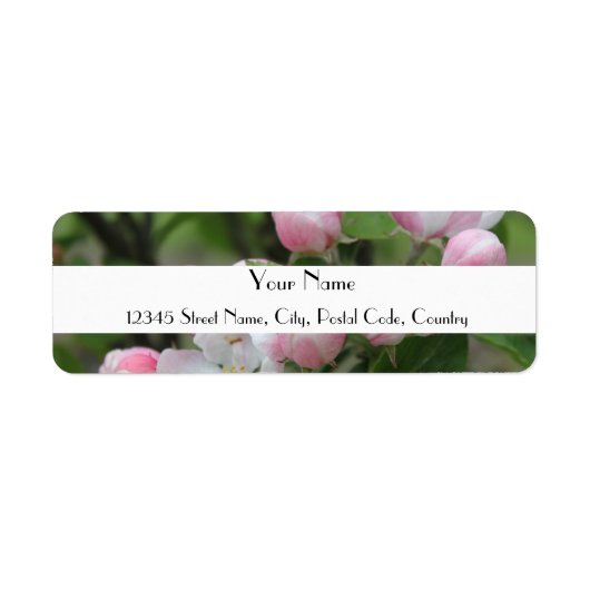 étiquette d'adresse de fleurs de pomme (Devant)