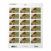 Étiquette d'adresse de photo de chaton mignon (Feuille entière)