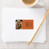 Étiquette d'adresse de photo de Cocker Spaniel (En situation)