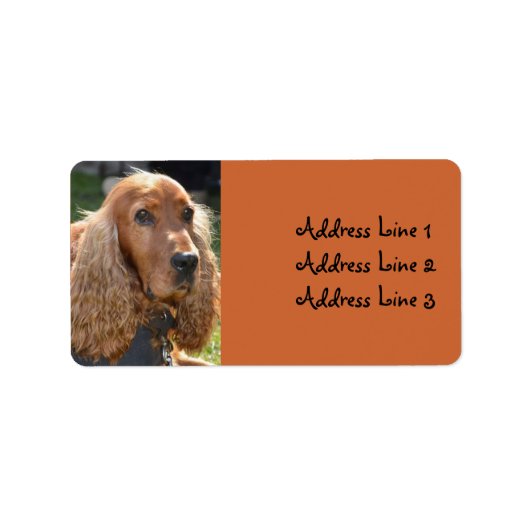 Étiquette d'adresse de photo de Cocker Spaniel (Devant)