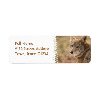 Étiquette d'adresse de retour Coyote