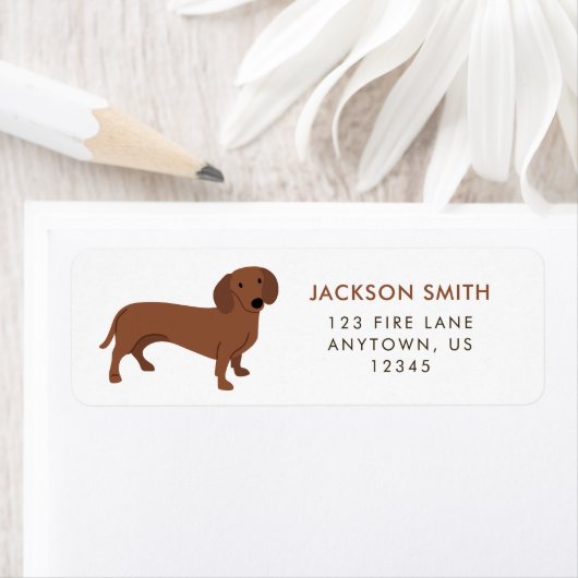 Étiquette d'adresse de retour Dachshund aux cheveu (En situation)