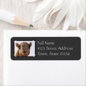 Étiquette d'adresse de retour de chameau (En situation)