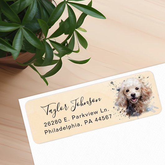 Étiquette d'adresse de retour de chien caniche