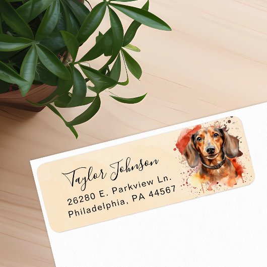 Étiquette d'adresse de retour de chien teckel