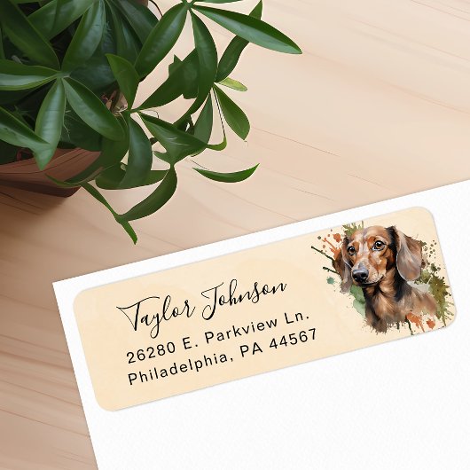 Étiquette d'adresse de retour de chien teckel