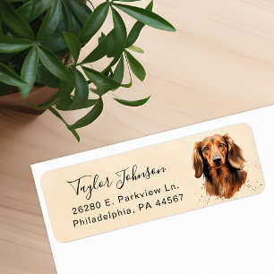 Étiquette d'adresse de retour de chien teckel