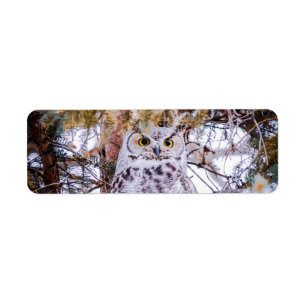 Étiquette d'adresse de retour de hibou