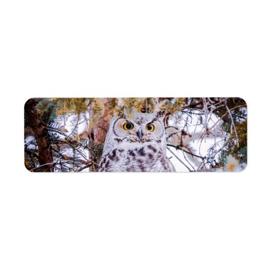 Étiquette d'adresse de retour de hibou (Devant)