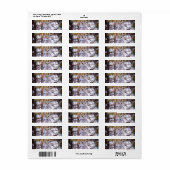 Étiquette d'adresse de retour de hibou (Feuille entière)