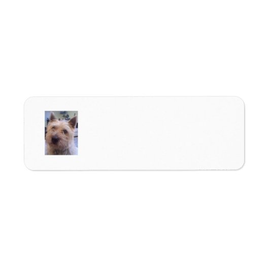 Étiquette d'adresse de retour des Amoureux de les (Devant)