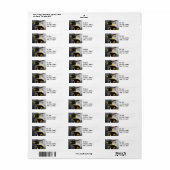 Étiquette d'adresse de retour des Pengiuns (Feuille entière)