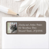 Étiquette d'adresse de retour du chaton à cheveux  (En situation)