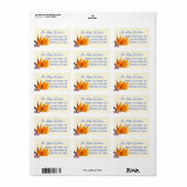 Étiquette d'adresse de retour Fleur Orange Oiseau (Feuille entière)