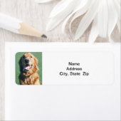Étiquette d'adresse de retour, Golden Retriever (En situation)