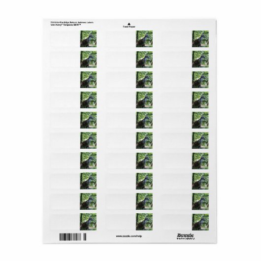 Étiquette d'adresse de retour Kangaroo (Feuille entière)