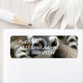 Étiquette d'adresse de retour Lemur (En situation)