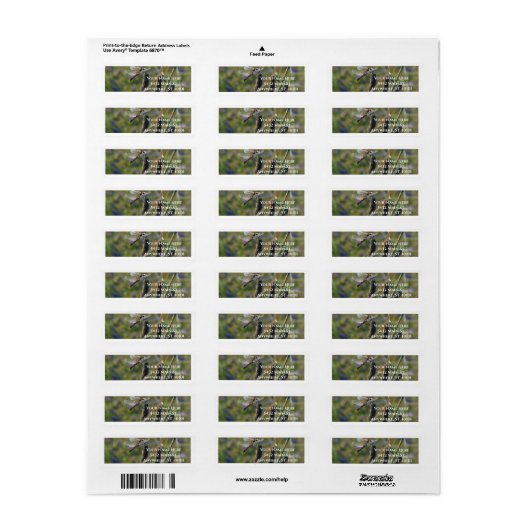 Étiquette d'adresse de retour Libellule (Feuille entière)