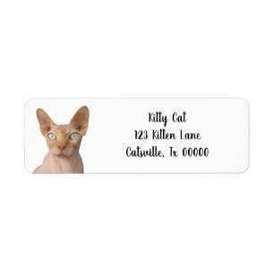 Étiquette d'adresse de retour Sphynx Cat sans che