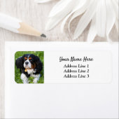 Étiquette d'adresse de retour Tri Cavalier King Ch (En situation)