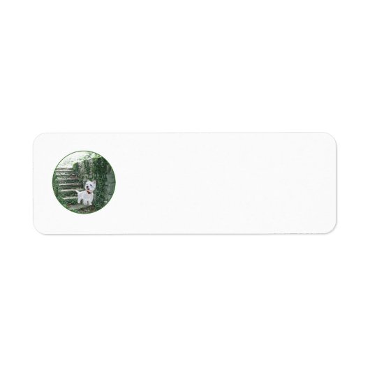 Étiquette d'adresse de retour Westie (Devant)