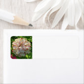 Étiquette d'adresse de retour Zinnia (En situation)