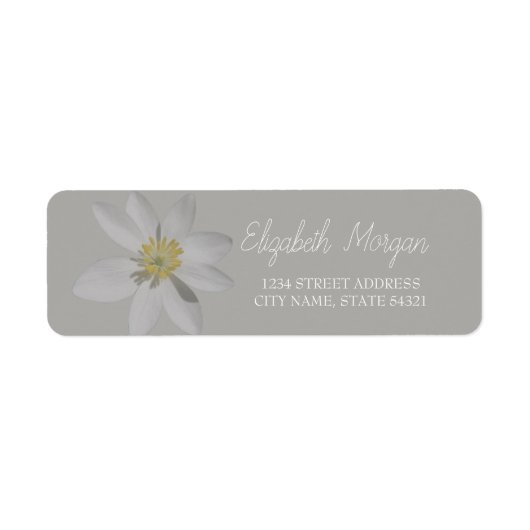 Étiquette d'adresse Fleur de marguerite blanche ro (Devant)