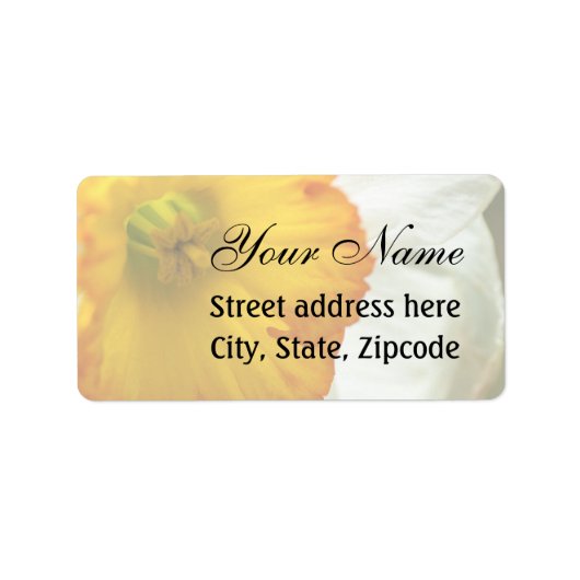 Étiquette Daffodile (Devant)