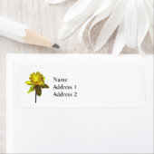 Étiquette Daffodique à la recherche (En situation)