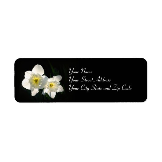 Étiquette Daffodiques (Devant)