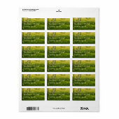 Étiquette Daffodiques de printemps (Feuille entière)