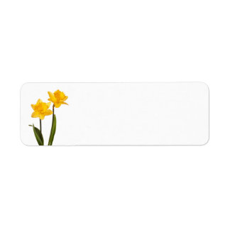 Étiquette Daffodiques jaunes sur blanc - Lavette de jonquill
