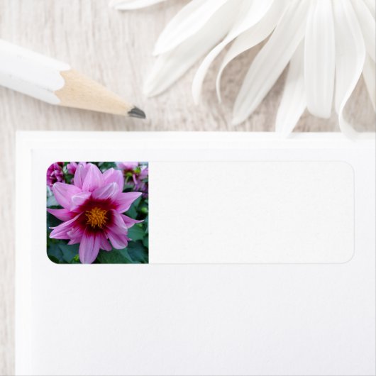 Étiquette Dahlia (En situation)