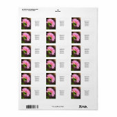 Étiquette Dahlia rose (Feuille entière)