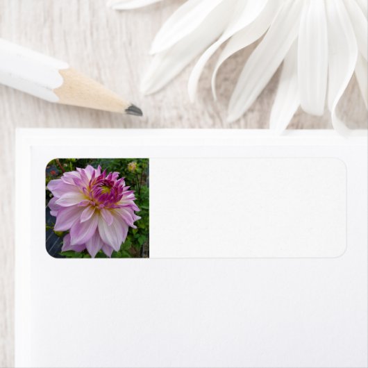 Étiquette Dahlia rose (En situation)