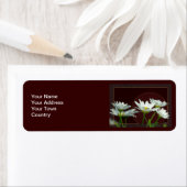 Étiquette Daisy (En situation)