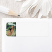 Étiquette Dans le jardin (En situation)