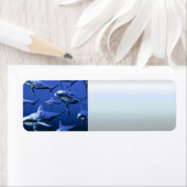 Étiquette Dauphin bleu (En situation)