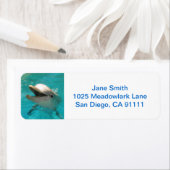 Étiquette Dauphin souriant (En situation)