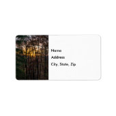 Étiquette DDC Woody Sunset (Devant)