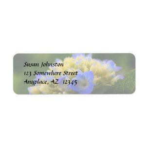 Étiquette de adresse à fleurs bleu doux Hydrangea